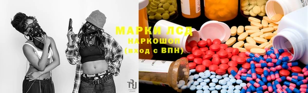 сатива Балахна