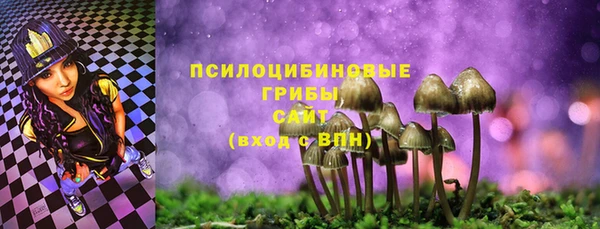 бошки Армянск