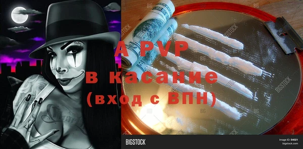 сатива Балахна