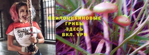 сатива Балахна